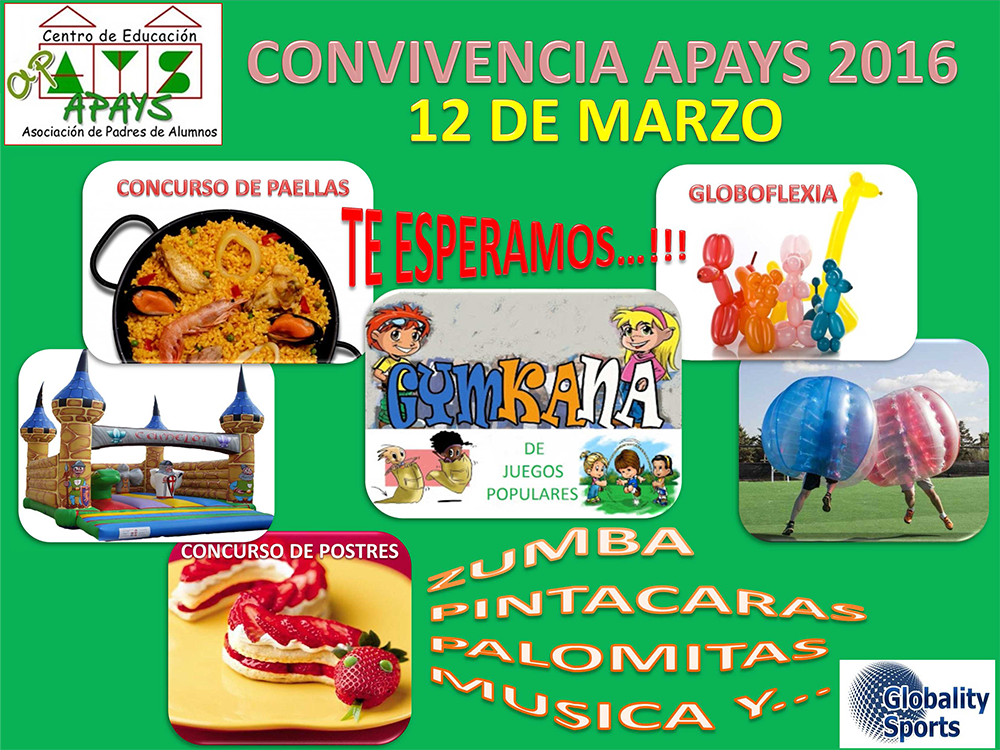 CONVIVENCIA APAYS 2016